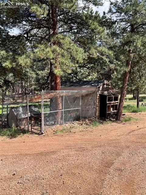 Tiny photo for 434 Blue Mountain Drive, Florissant, CO 80816 (MLS # 1912650)