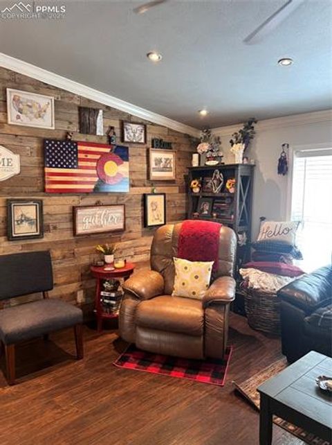 Tiny photo for 434 Blue Mountain Drive, Florissant, CO 80816 (MLS # 1912650)