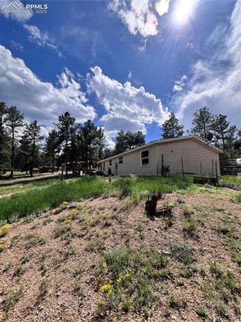 Tiny photo for 434 Blue Mountain Drive, Florissant, CO 80816 (MLS # 1912650)