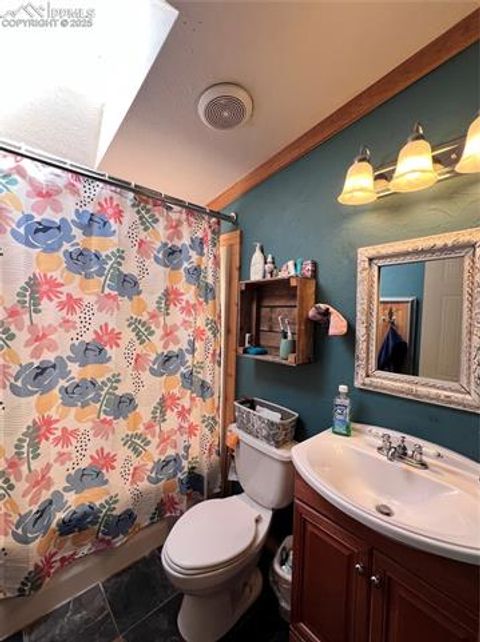 Tiny photo for 434 Blue Mountain Drive, Florissant, CO 80816 (MLS # 1912650)