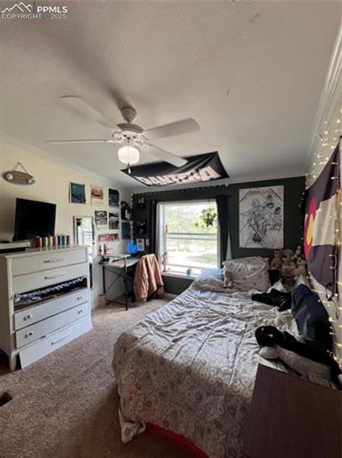 Tiny photo for 434 Blue Mountain Drive, Florissant, CO 80816 (MLS # 1912650)