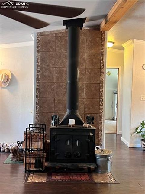 Tiny photo for 434 Blue Mountain Drive, Florissant, CO 80816 (MLS # 1912650)