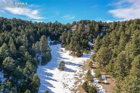 Photo of 16490 Mesquite Road, Peyton, CO 80831 (MLS # 5369074)