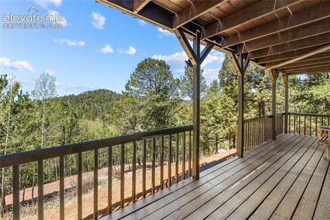 Tiny photo for 265 Homestead Road, Divide, CO 80814 (MLS # 9625667)