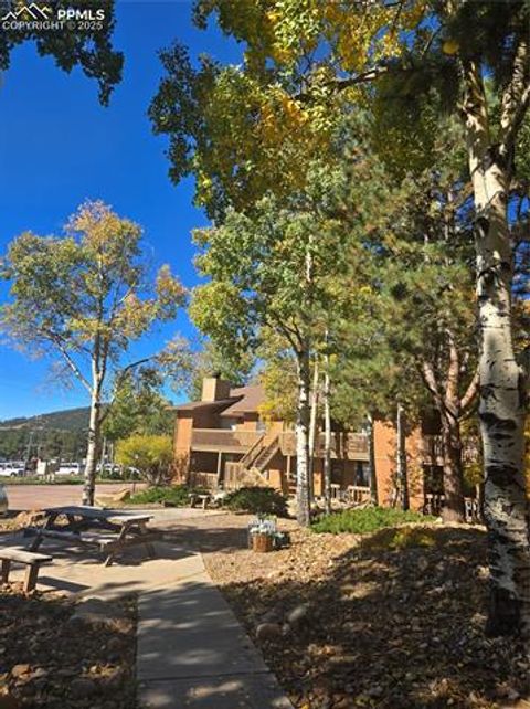Tiny photo for 401 Forest Edge Road #B8, Woodland Park, CO 80863 (MLS # 4116126)