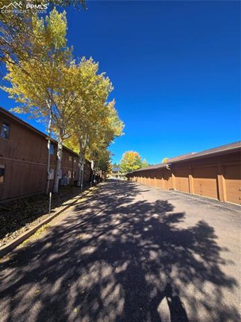 Tiny photo for 401 Forest Edge Road #B8, Woodland Park, CO 80863 (MLS # 4116126)
