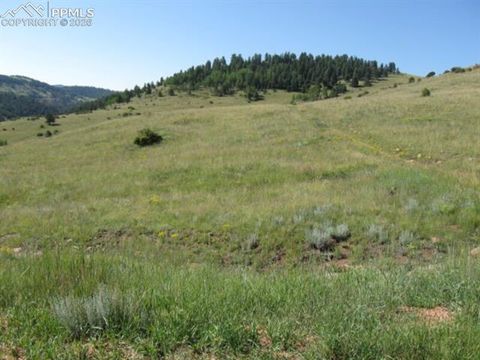 Photo of 910 Shideler Avenue, Cripple Creek, CO 80813 (MLS # 2166915)