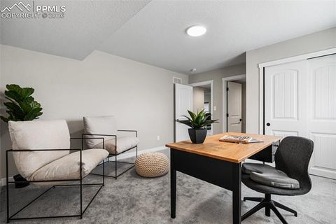 Tiny photo for 9373 Warrick Street, Colorado Springs, CO 80924 (MLS # 1916392)