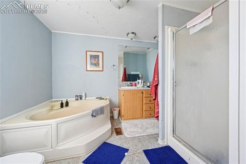 Tiny photo for 16830 Finch Road, Colorado Springs, CO 80928 (MLS # 8196934)