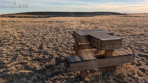 Tiny photo for 16830 Finch Road, Colorado Springs, CO 80928 (MLS # 8196934)