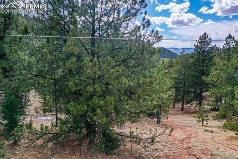 Photo of 395 WABASH Terrace, Cripple Creek, CO 80813 (MLS # 1106926)