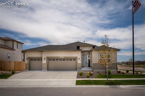 Photo of 13410 New Ranch Drive, Peyton, CO 80831 (MLS # 7058969)