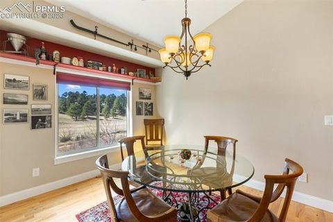 Tiny photo for 1310 Longs Point, Woodland Park, CO 80863 (MLS # 4419724)