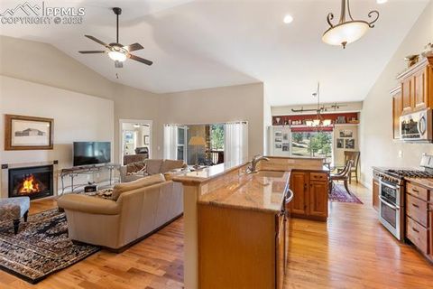 Tiny photo for 1310 Longs Point, Woodland Park, CO 80863 (MLS # 4419724)