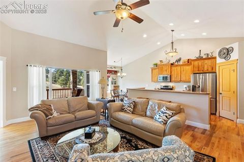 Tiny photo for 1310 Longs Point, Woodland Park, CO 80863 (MLS # 4419724)