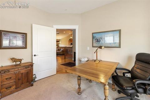 Tiny photo for 1310 Longs Point, Woodland Park, CO 80863 (MLS # 4419724)