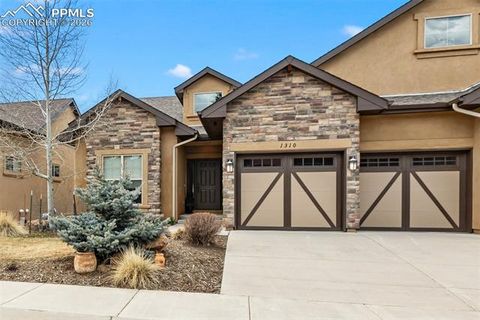 Tiny photo for 1310 Longs Point, Woodland Park, CO 80863 (MLS # 4419724)