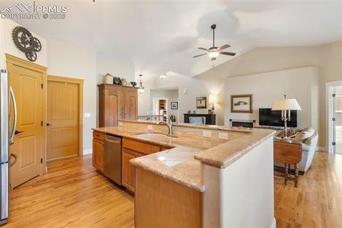 Tiny photo for 1310 Longs Point, Woodland Park, CO 80863 (MLS # 4419724)