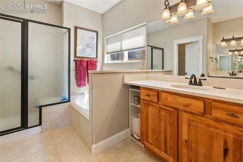 Tiny photo for 1310 Longs Point, Woodland Park, CO 80863 (MLS # 4419724)