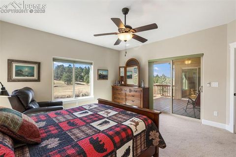Tiny photo for 1310 Longs Point, Woodland Park, CO 80863 (MLS # 4419724)