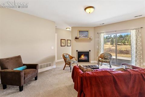 Tiny photo for 1310 Longs Point, Woodland Park, CO 80863 (MLS # 4419724)