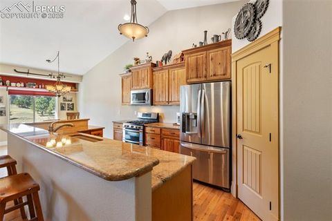 Tiny photo for 1310 Longs Point, Woodland Park, CO 80863 (MLS # 4419724)