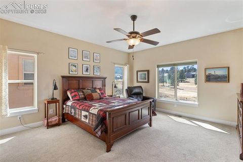 Tiny photo for 1310 Longs Point, Woodland Park, CO 80863 (MLS # 4419724)