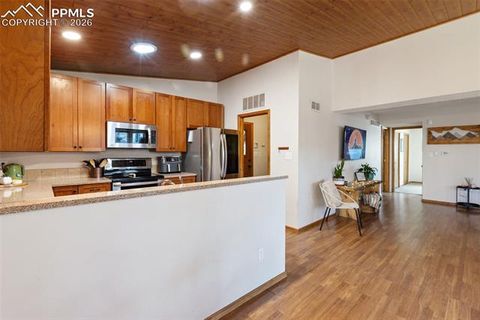 Tiny photo for 1700 Blackfoot Trail, Woodland Park, CO 80863 (MLS # 1912407)