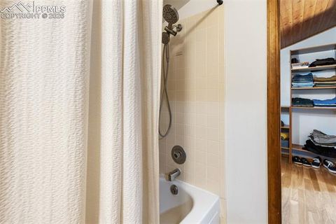 Tiny photo for 1700 Blackfoot Trail, Woodland Park, CO 80863 (MLS # 1912407)
