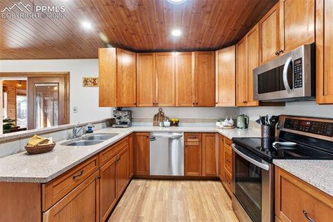 Tiny photo for 1700 Blackfoot Trail, Woodland Park, CO 80863 (MLS # 1912407)