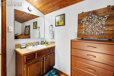Tiny photo for 1700 Blackfoot Trail, Woodland Park, CO 80863 (MLS # 1912407)
