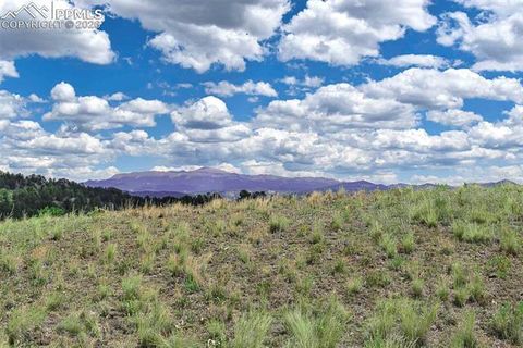 Photo of 4680 County Road 71, Guffey, CO 80820 (MLS # 2604949)