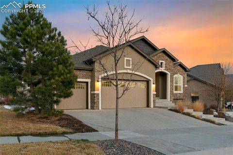 Photo of 1449 Yellow Tail Drive, Colorado Springs, CO 80921 (MLS # 3801709)