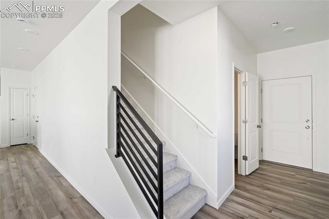 9357 Twin Sisters Drive