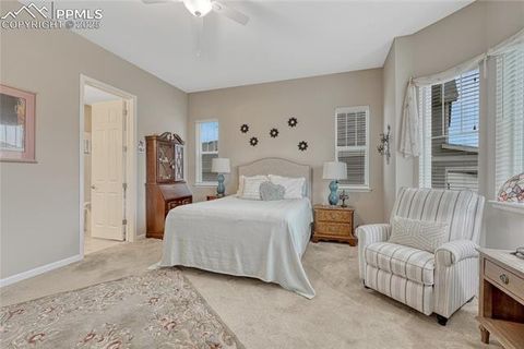 Tiny photo for 2932 Eagle Wing Way, Castle Rock, CO 80109 (MLS # 2381503)