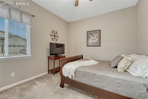 Tiny photo for 2932 Eagle Wing Way, Castle Rock, CO 80109 (MLS # 2381503)