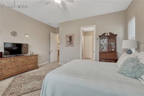 Tiny photo for 2932 Eagle Wing Way, Castle Rock, CO 80109 (MLS # 2381503)