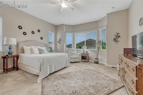 Tiny photo for 2932 Eagle Wing Way, Castle Rock, CO 80109 (MLS # 2381503)