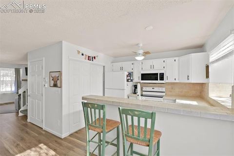 Tiny photo for 6836 Overland Drive, Colorado Springs, CO 80919 (MLS # 4059294)