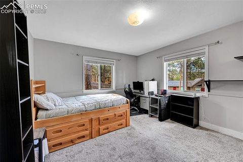 Tiny photo for 1501 Chippewa Trail, Woodland Park, CO 80863 (MLS # 8119241)