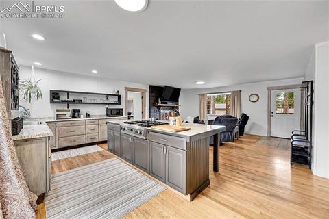 Tiny photo for 1501 Chippewa Trail, Woodland Park, CO 80863 (MLS # 8119241)