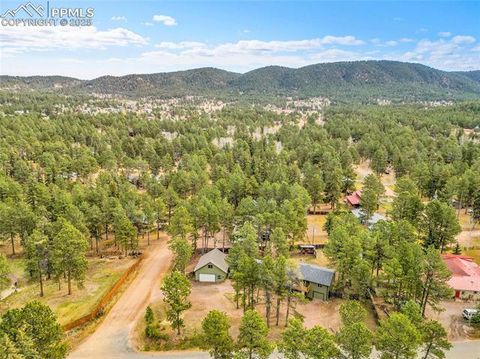 Tiny photo for 1501 Chippewa Trail, Woodland Park, CO 80863 (MLS # 8119241)