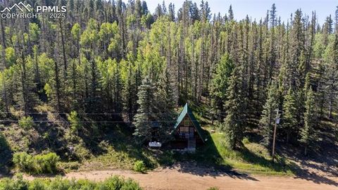 Tiny photo for 274 Midland Road, Florissant, CO 80816 (MLS # 6123053)