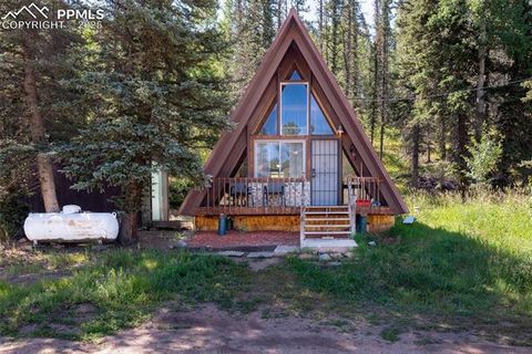 Tiny photo for 274 Midland Road, Florissant, CO 80816 (MLS # 6123053)