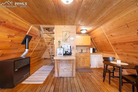 Tiny photo for 274 Midland Road, Florissant, CO 80816 (MLS # 6123053)