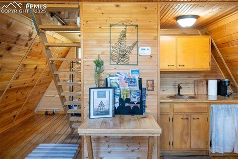 Tiny photo for 274 Midland Road, Florissant, CO 80816 (MLS # 6123053)