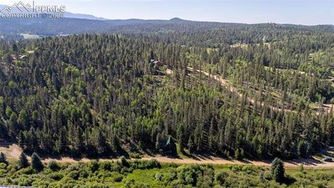 Tiny photo for 274 Midland Road, Florissant, CO 80816 (MLS # 6123053)