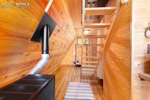 Tiny photo for 274 Midland Road, Florissant, CO 80816 (MLS # 6123053)