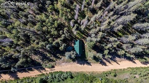 Tiny photo for 274 Midland Road, Florissant, CO 80816 (MLS # 6123053)