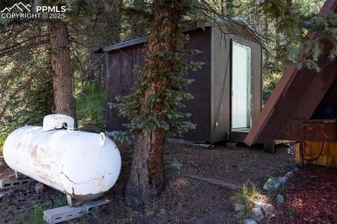 Tiny photo for 274 Midland Road, Florissant, CO 80816 (MLS # 6123053)